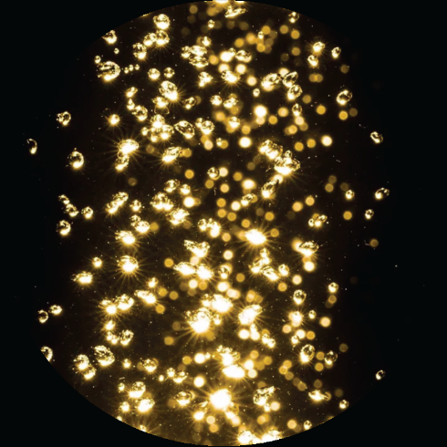 Golden bokeh lights representing wellbeing